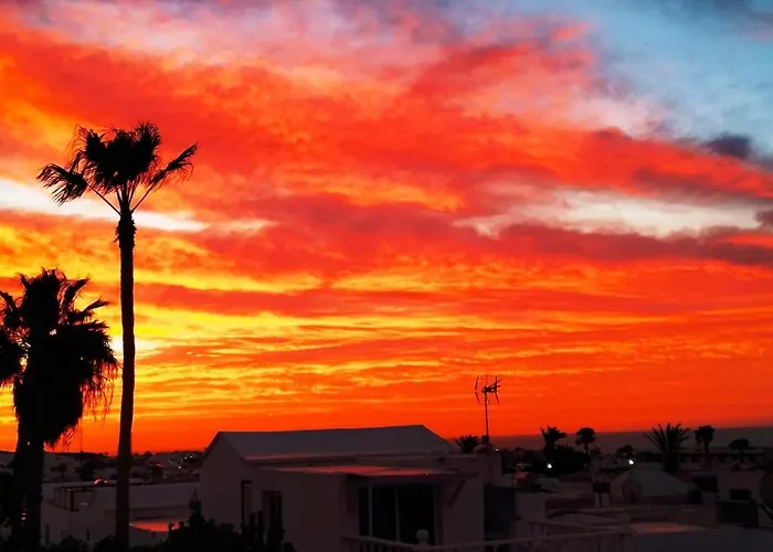 Vincent, Cozy And Sunny Over The Rooftops * Puerto del Carmen (Lanzarote)