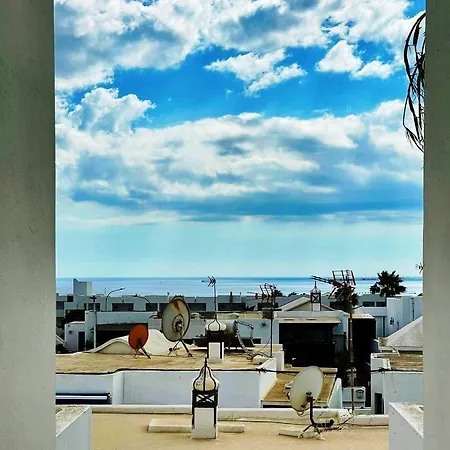 Vincent, Cozy And Sunny Over The Rooftops *