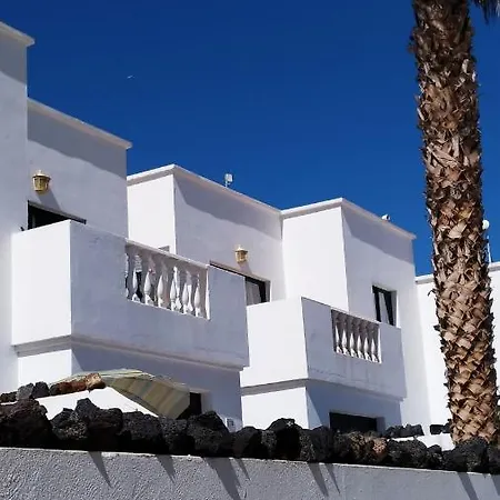 Vincent, Cozy And Sunny Over The Rooftops 卡门港