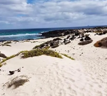 Vincent, Cozy And Sunny Over The Rooftops