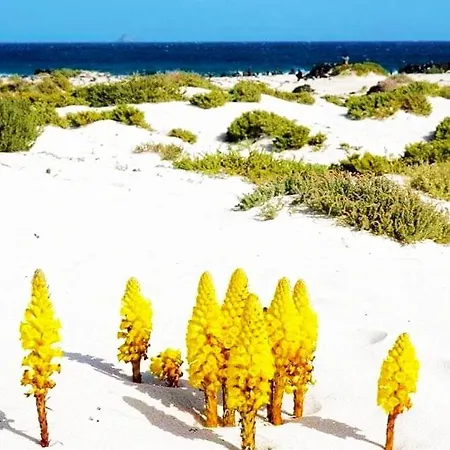 Vincent, Cozy And Sunny Over The Rooftops 公寓 卡门港