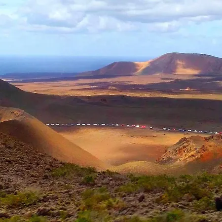 Vincent, Cozy And Sunny Over The Rooftops *