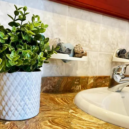 Vincent, Cozy And Sunny Over The Rooftops 公寓