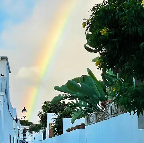 Vincent, Cozy And Sunny Over The Rooftops