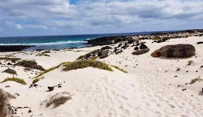 Vincent, Cozy And Sunny Over The Rooftops