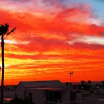 Vincent, Cozy And Sunny Over The Rooftops * Puerto del Carmen (Lanzarote)